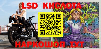 спиды Моздок