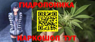 дурь Можга
