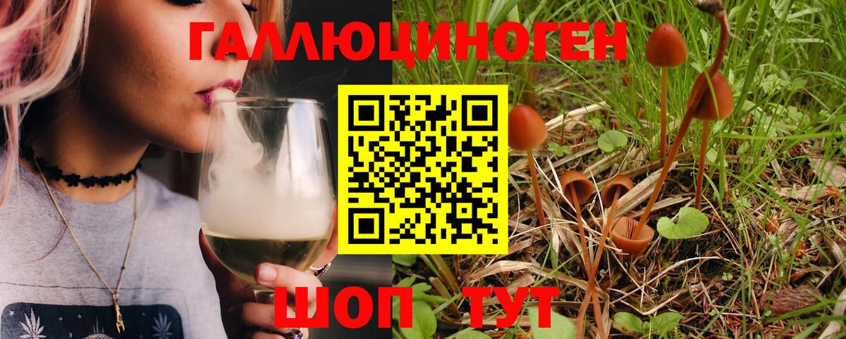 Чайковский  Галлюциногенные грибы MAGIC MUSHROOMS  Вход с VPN 
